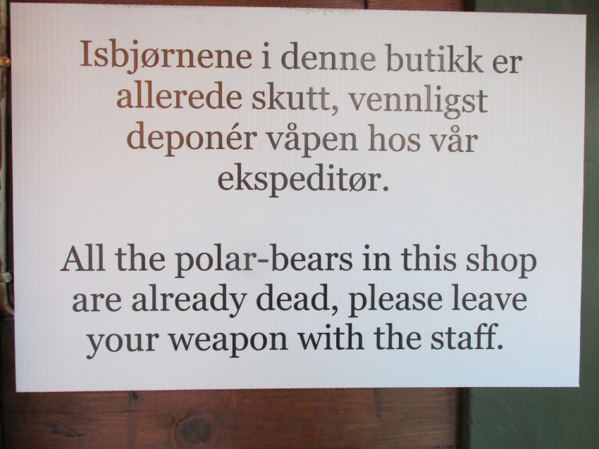 ign polar bear