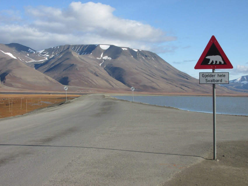 oad sign