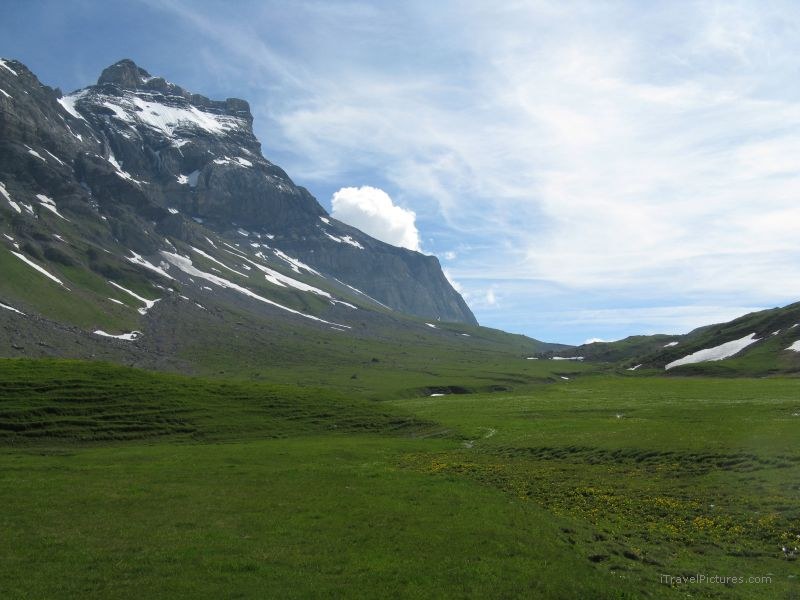 Gryon-Villars tour de l'Argentine mountain grass