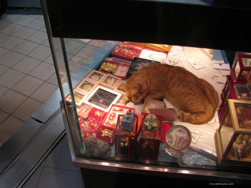 at sleeping store Dingxi