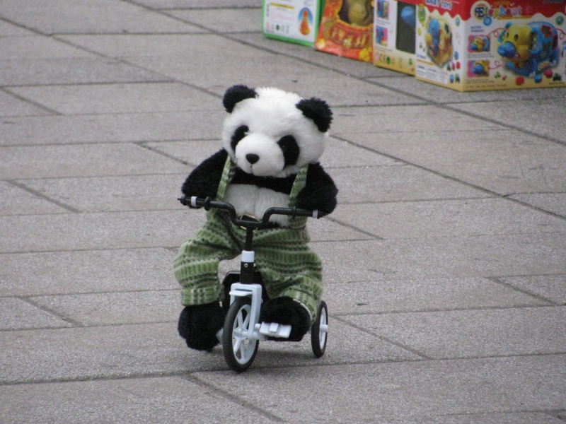 oy panda riding bicycle