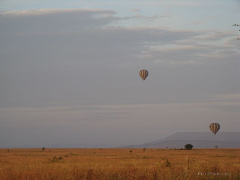 hot air balloons balloon morning serengeti national park serengeti national park