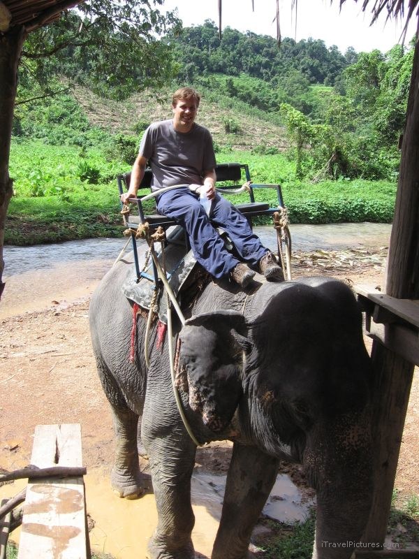 elephant me riding Chris Drummond