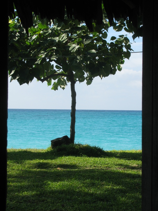 each door tree