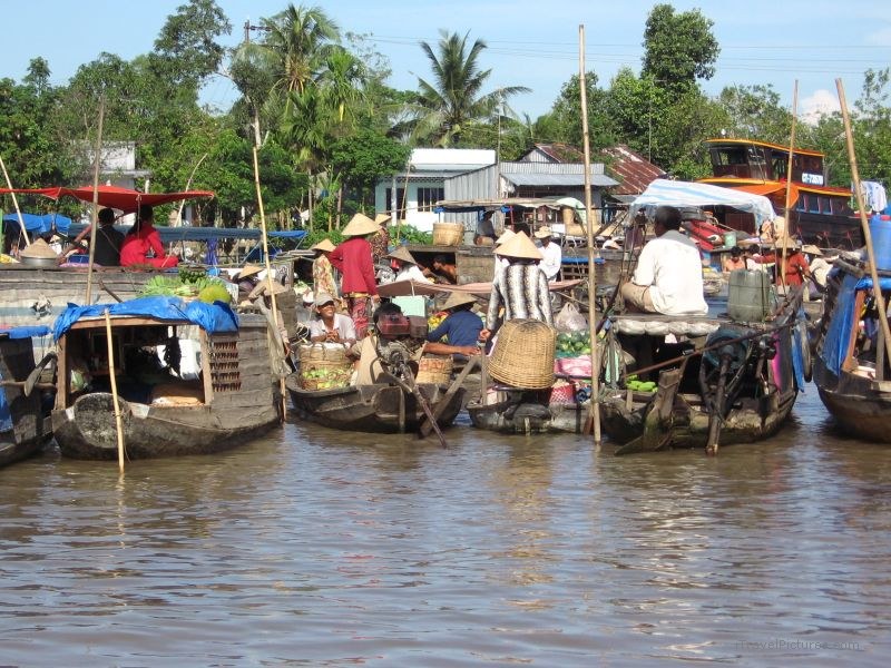 Can Tho river market boat boats