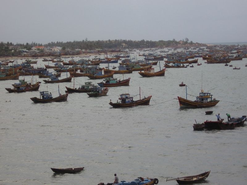 boat boats