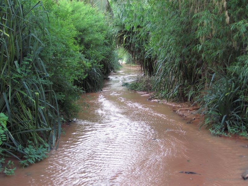 Fairy stream Suoi Tien creek