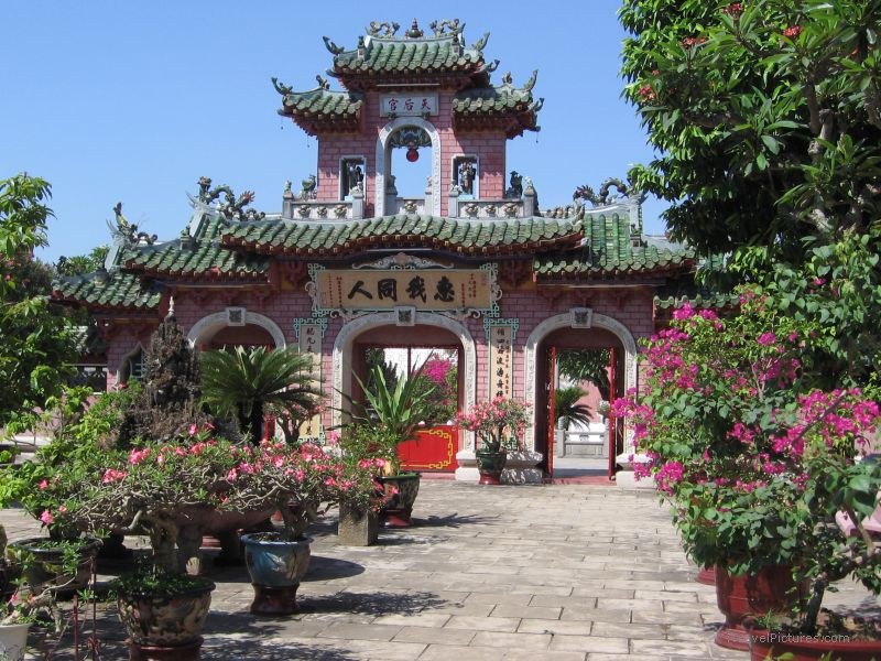 temple flower flowers