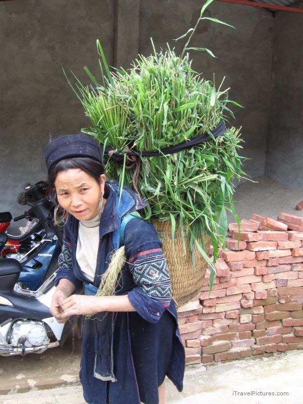 woman carrying grass