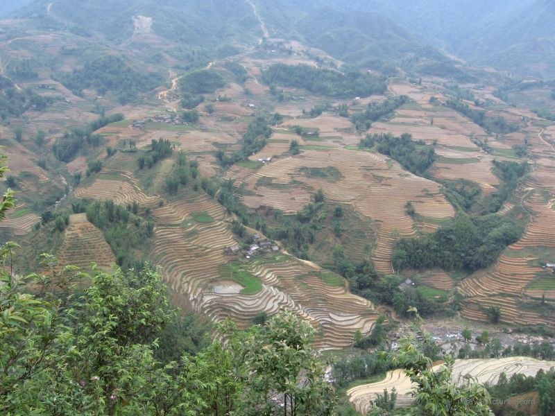 terraces rice terrace