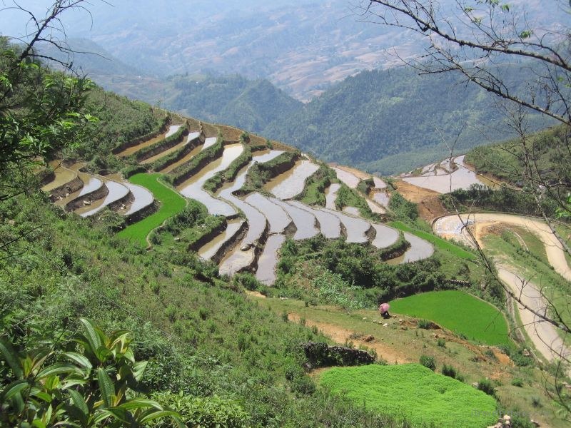 terraces rice terrace